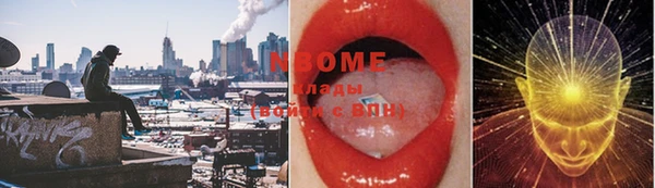 ПСИЛОЦИБИНОВЫЕ ГРИБЫ Козловка