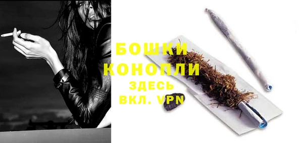 ПСИЛОЦИБИНОВЫЕ ГРИБЫ Козловка