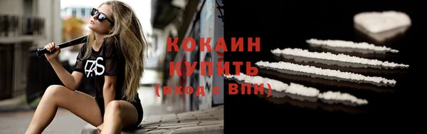 ПСИЛОЦИБИНОВЫЕ ГРИБЫ Козловка