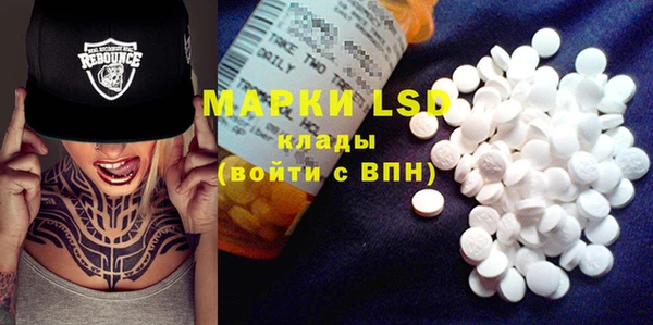 ПСИЛОЦИБИНОВЫЕ ГРИБЫ Козловка