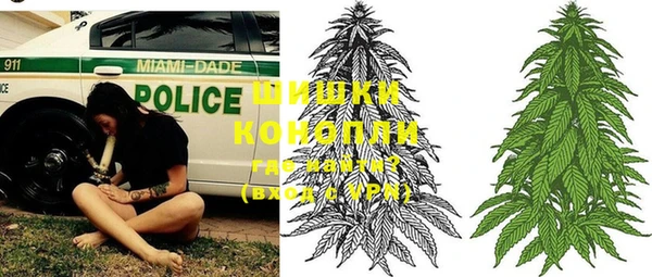 ПСИЛОЦИБИНОВЫЕ ГРИБЫ Козловка