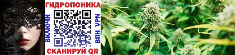 Купить  Королёв  Бошки марихуана индика 